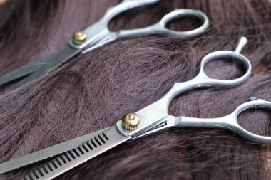 Kuaför makası saç kesme