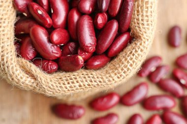 yığın tohum kırmızı fasulye