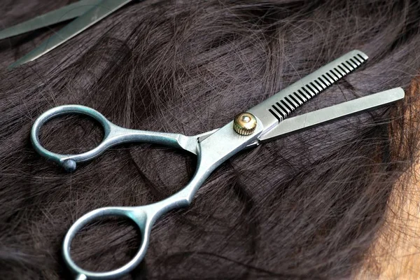 Tijeras Peluquero Corte Pelo —  Fotos de Stock