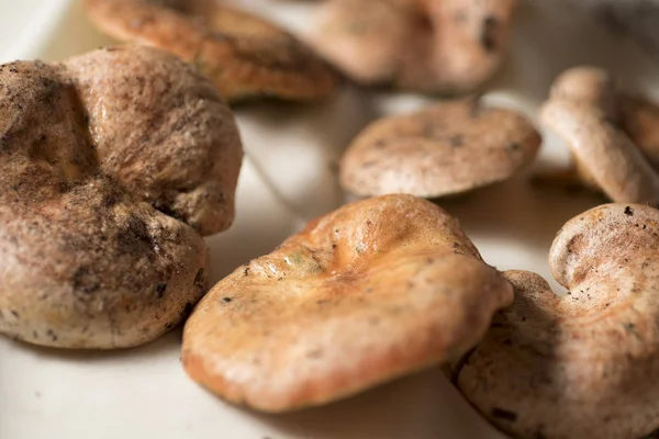 Deliziosi Funghi Arancio Freschi Appena Raccolti Nella Pineta — Foto Stock