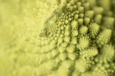 Romanesco Brecl pişirilmeye, servis edilmeye ve yenmeye hazırlanıyor.