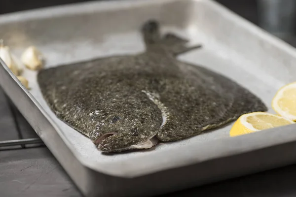 Turbot on a baking sheet and oven rack, with garlic, lemon and bay leaf, prepared to be baked in the oven