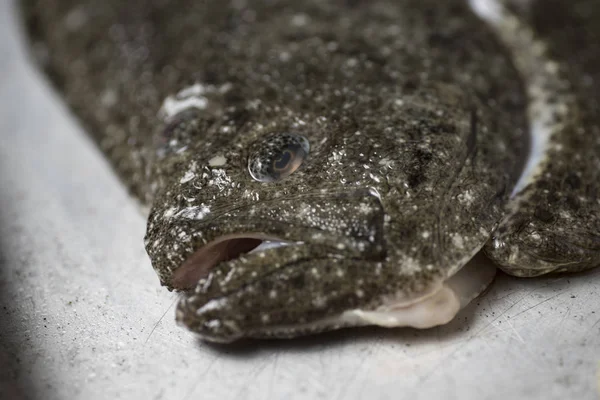 Turbot on a baking sheet and oven rack, with garlic, lemon and bay leaf, prepared to be baked in the oven