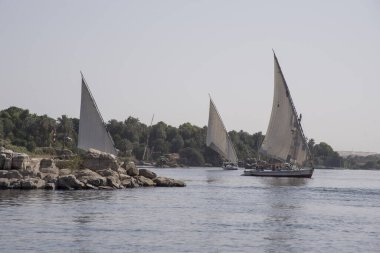 Sıcak bir günde, Aswan Mısır 'daki Nil nehrinde dostlar.