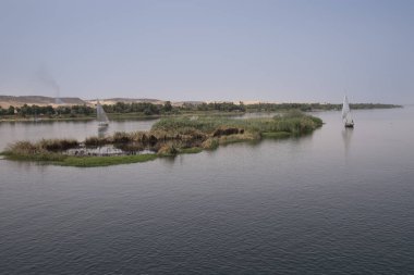 Sıcak bir günde, Aswan Mısır 'daki Nil nehrinde dostlar.