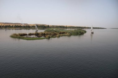 Sıcak bir günde, Aswan Mısır 'daki Nil nehrinde dostlar.