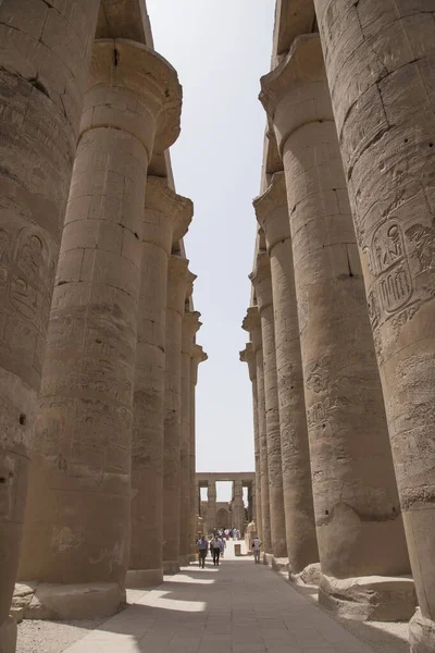 神殿ルクソール 古代テーベの中心部に位置 神エイモンに奉献 彼の2つの側面エイモン ラーの下で エジプト アフリカ — ストック写真