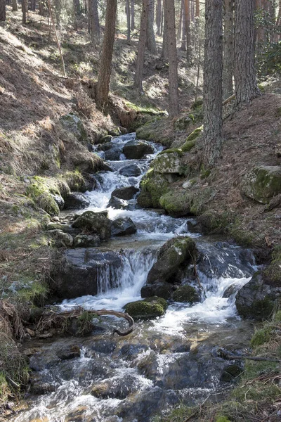 Arroyo Chorranca Valsain Segovia Castilla Leon Hiszpania Europa Szybki Świeży — Zdjęcie stockowe