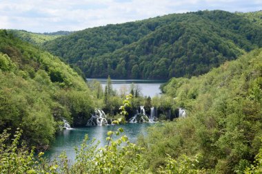 Şelale ve göllerin bakış açısından bakıldığında, Hırvatistan, Avrupa 'nın merkezinde yer alan Plitvice Gölleri Doğal Parkı, orman rezervi.