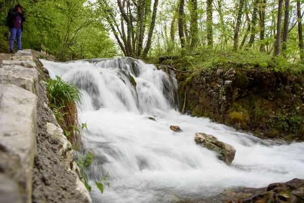 Wasserfall Stausee Und Vegetation Naturpark Plitvicer Seen Einem Waldgebiet Zentrum — Stockfoto