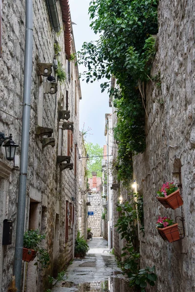 Strada Stretta Con Facciate Pietra Ston Nella Contea Dubrovnik Neretva — Foto Stock