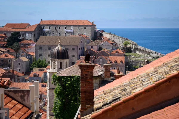 Dubrovnik 'teki dar ve sarp bir sokaktan çatıların manzarası, eski adı Ragusa, Hırvatistan, Avrupa' nın Dalmaçya kıyılarında yer alan bir şehir.