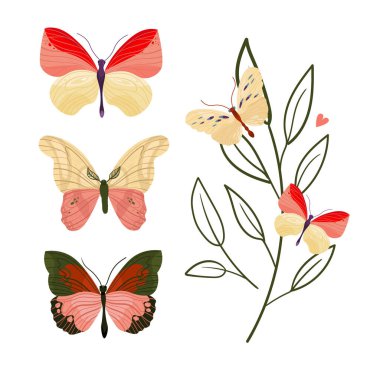 Beyaz arka plan üzerinde ayarla vektör kelebek.