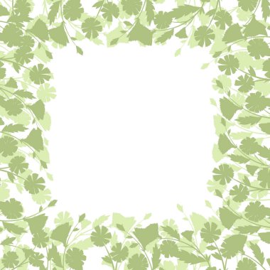 Hindiba, yabani çiçekler ve şifalı otlar..