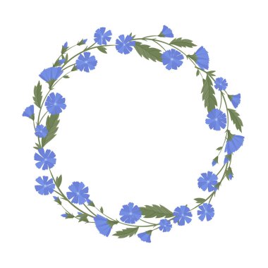 Hindiba, yabani çiçekler ve şifalı otlar..