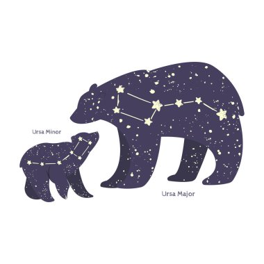 Ursa major and ursa minor.