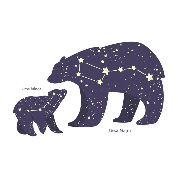 Ursa major and ursa minor. — Stock Vector