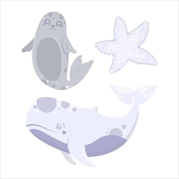 Animal Mar Vetor Baleia Estrela Mar Pele Foca Desenhos Animados —  Vetores de Stock