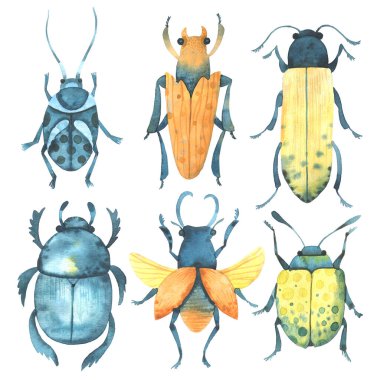 Suluboya böcekleri. Renkli böcekler, yaz ve bahar.