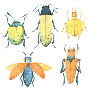 Suluboya böcekleri. Renkli böcekler, yaz ve bahar.