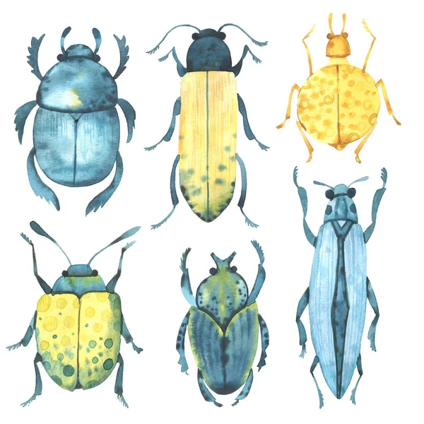 Watercolor Beetles Colorful Bugs Summer Spring — Stock Photo, Image