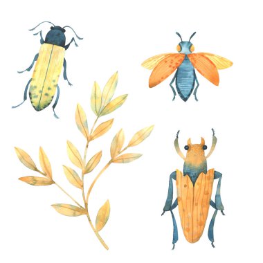 Suluboya böcekleri. Renkli böcekler, yaz ve bahar.