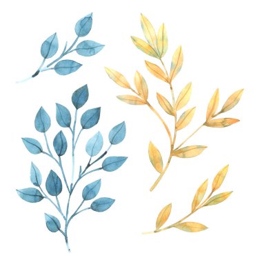 Suluboya yapraklar. Yaz ve bahar illüstrasyonu.