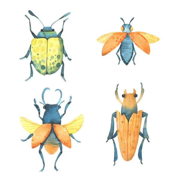 Watercolor Beetles Colorful Bugs Summer Spring — Stock Photo, Image