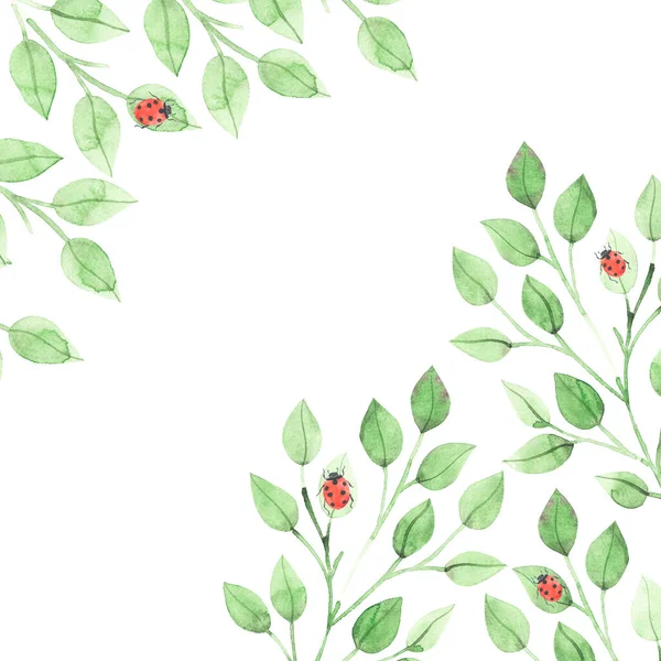 Акварельні Літні Гілки Листям Лист Зелені — стокове фото