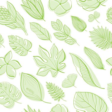 Tropikal yapraklar hazır. Avuç içi, yelpaze avuç içi, canavar, sıra halinde muz yaprakları. Tasarım için tropikal yaprakların çizimleri.