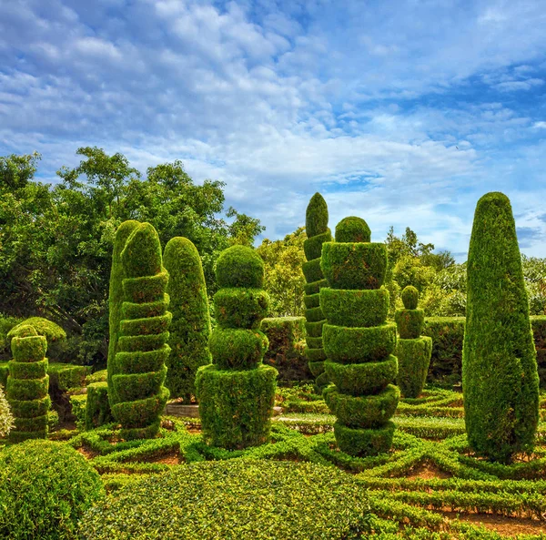 Βοτανικός Κήπος Monte, Φουντσάλ, Μαδέρα, Πορτογαλία — Φωτογραφία Αρχείου