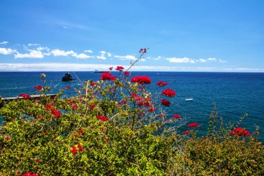 Madeira beach tropikal, Funchal, Portekiz