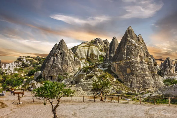 Capadócia. Goreme. Cavalos na paisagem montanhosa, Turquia — Fotografia de Stock