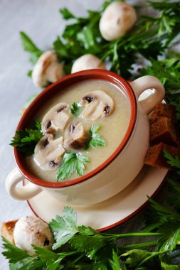 Yeşil maydanoz, ekmek ve biber ile taze mantar çorbası