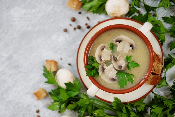 Fresh mushroom soup with green parsley, bread and pepper — Stock Image Fresh mushroom soup with green parsley, bread and pepper Stock Picture