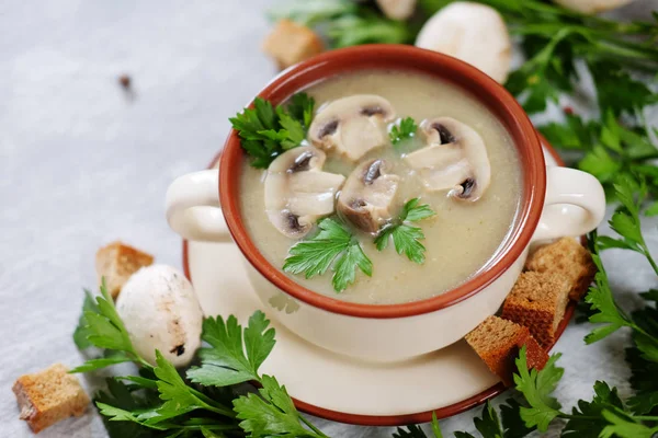 Fresh mushroom soup with green parsley, bread and pepper — Stock Image Fresh mushroom soup with green parsley, bread and pepper Royalty Free Stock Images