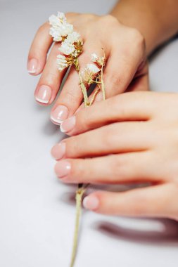 Jel tırnak uzantıları yapı işlemi