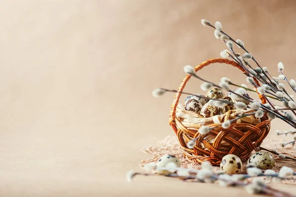 Easter holiday decoration.  Quail eggs wrapped in hay — Stock Photo, Image