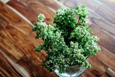 Yerdeki cam vazoda taze beyaz leylak çiçekler