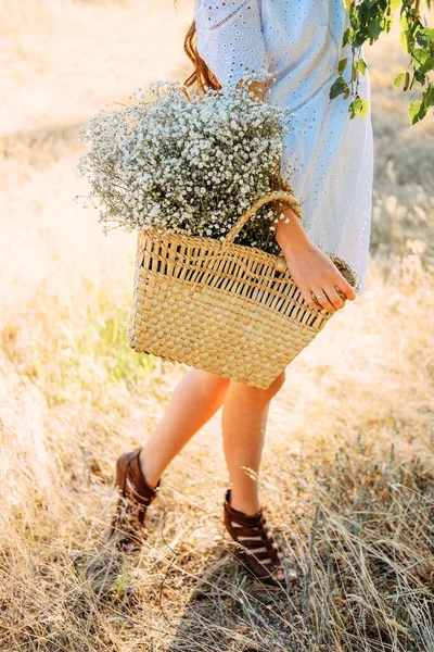 Giovane Donna Tenera Elegante Nel Bosco Tramonto Passeggiando Con Cesto — Foto Stock