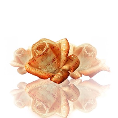 Su Rose notalar ile düştü