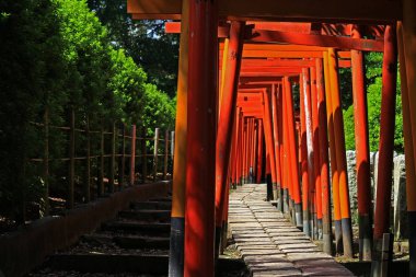 Birçok canlı kırmızı torii kapısından oluşan bir tapınak yaklaşımı.