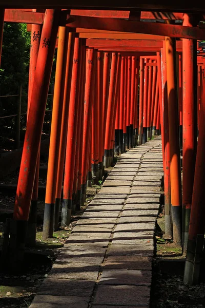 Une Approche Sanctuaire Composée Nombreuses Portes Torii Écarlates Vibrantes — Photo