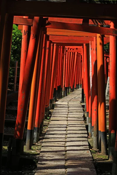 Une Approche Sanctuaire Composée Nombreuses Portes Torii Écarlates Vibrantes — Photo