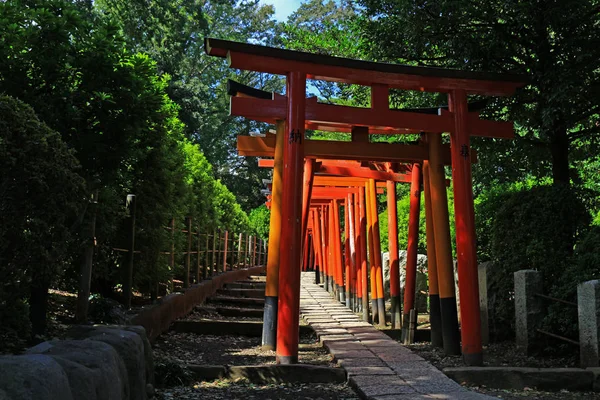 Approccio Santuario Composto Molti Vivaci Porte Torii Scarlatto — Foto Stock