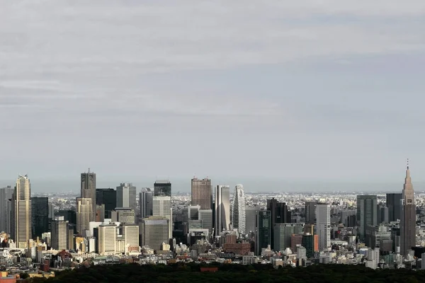 Panoramic View Shinjuku Skyscrapers — Stock Photo, Image