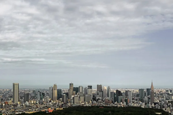 Panoramisch Uitzicht Shinjuku Wolkenkrabbers — Stockfoto