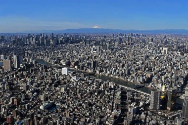 Tokyo 'nun ortasından panoramik manzara ve Tokyo Gökyüzü Ağacı' ndan Fuji Dağı