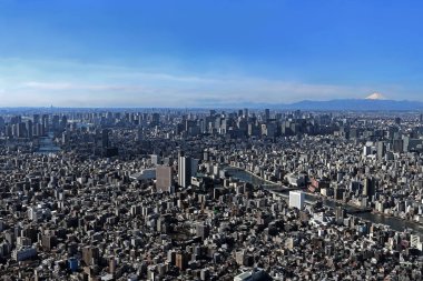 Tokyo 'nun ortasından panoramik manzara ve Tokyo Gökyüzü Ağacı' ndan Fuji Dağı