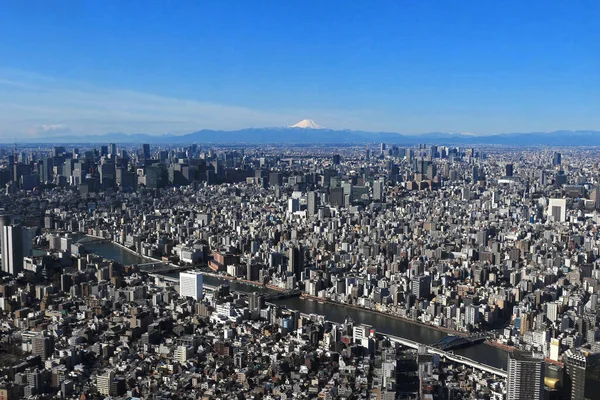 Panoramic view of central Tokyo and Mount Fuji from the Tokyo Sky Tree